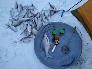 IMG_20190105_151401.jpg