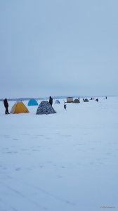 20190105_071216.jpg