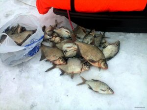 IMG_20190105_211320_849.jpg