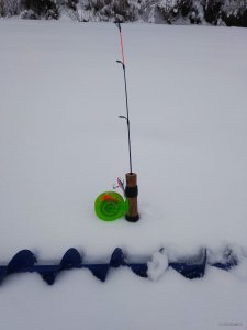 IMG_20190106_130838.jpg