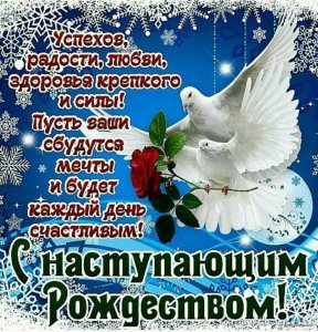 IMG-4c5ddb4df028b0c2de4adddd2da85371-V.jpg