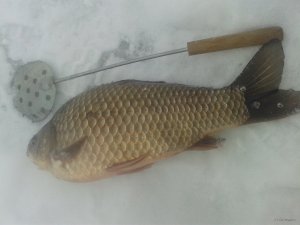 20190106_132557.jpg