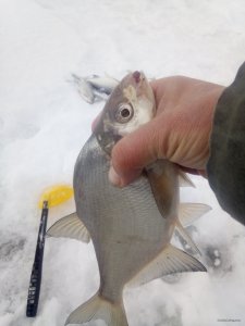 IMG_20190105_123533.jpg