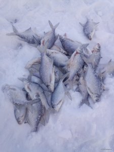 IMG_20190106_141608.jpg