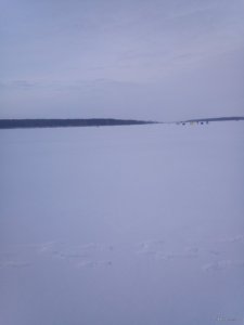 IMG_20190106_142351.jpg
