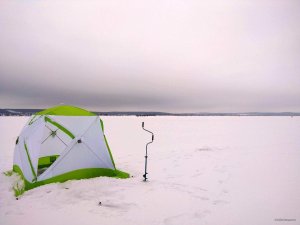 IMG_20190107_090418.jpg