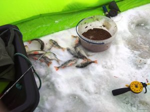 IMG_20190107_113320.jpg