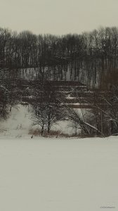 20190107_100553.jpg