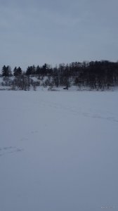 20190107_100619.jpg