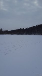 20190107_100612.jpg