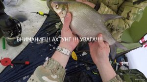 лещ 5.jpg