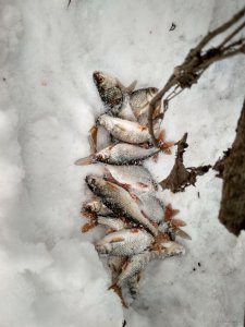 IMG_20190110_145657_HDR.jpg