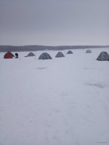 IMG_20190110_074124.jpg