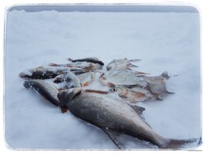 20190111_104856-2016x1512-01.jpeg