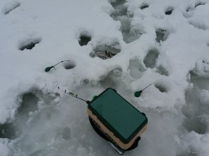 20190111_102944.jpg