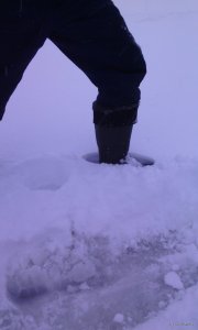 IMG_20190111_153144.jpg