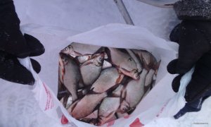 IMG_20190111_151905.jpg