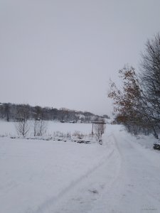 IMG_20190111_091342.jpg