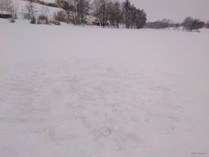 IMG_20190111_092503.jpg
