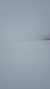 IMG-35c50448cb0dd572bb295208b5844feb-V.jpg