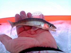 IMG_20190112_184814_583.jpg