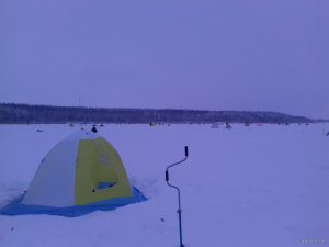 20190112_071639.jpg