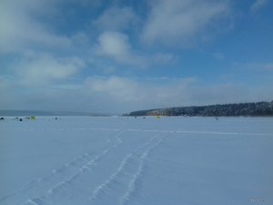 20190112_120029.jpg