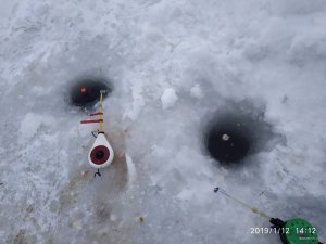 IMG_20190112_141229.jpg