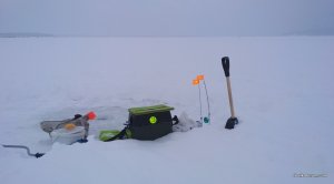 IMG_20190112_080659.jpg