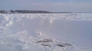 IMG_20190113_100602.jpg