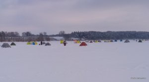 IMG_20190112_114429.jpg