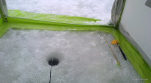 IMG_20190112_092759.jpg