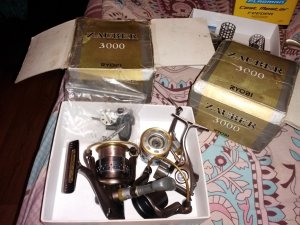 IMG_20190113_175854.jpg