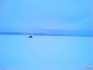 IMG_20190113_083205.jpg