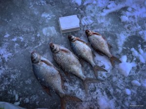 IMG_5356.jpg