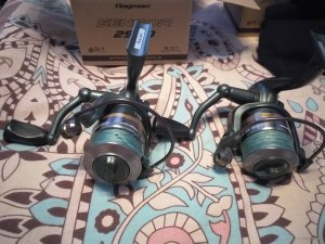 IMG_20190114_100055.jpg