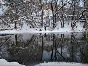 IMG_20190113_093313_HDR.jpg