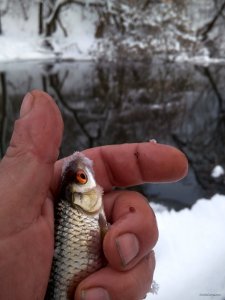 IMG_20190113_093418_HDR.jpg