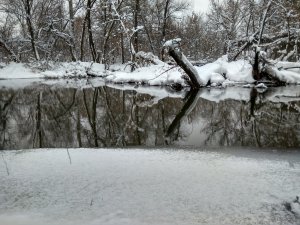 IMG_20190113_143242_HDR.jpg