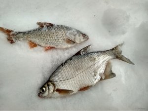 IMG_20190113_145531_HDR.jpg