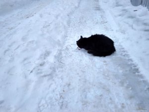 IMG_20190114_072945_HDR.jpg