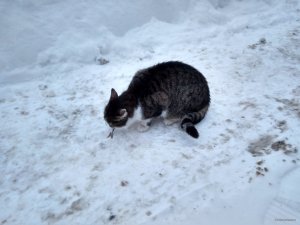 IMG_20190114_073007_HDR.jpg