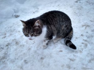 IMG_20190114_073016_HDR.jpg