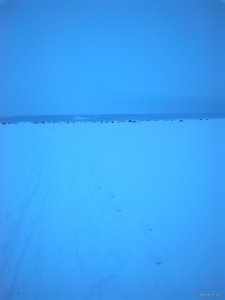 IMG_20190113_080226.jpg