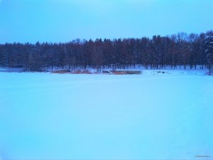 IMG_20190113_080246.jpg