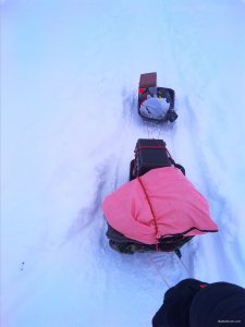 IMG_20190113_080220.jpg