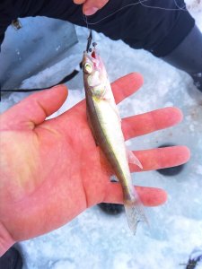 IMG_20190113_092147.jpg