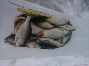 IMG_20190114_153258.jpg