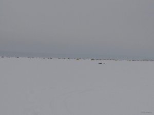 IMG_20190113_075040.jpg