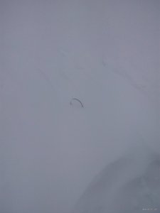 IMG_20190113_154045.jpg